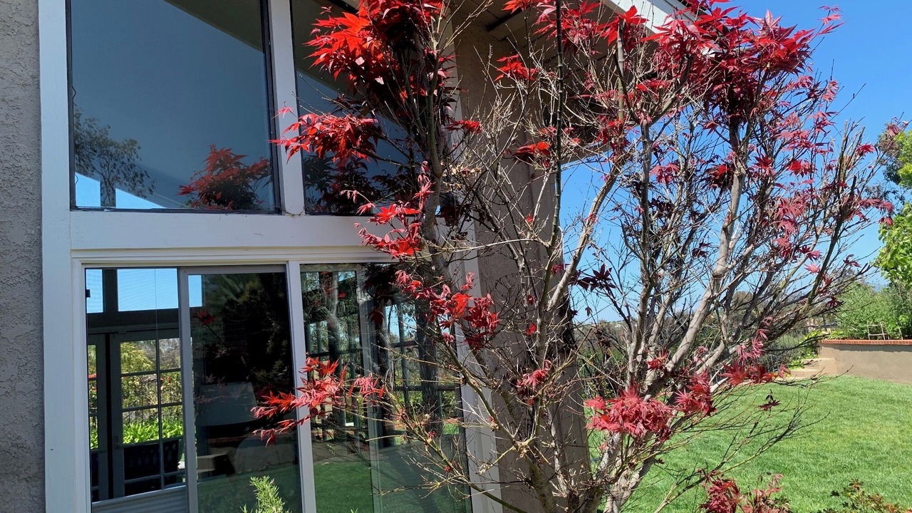 Photo of Outdoor in Laguna Niguel