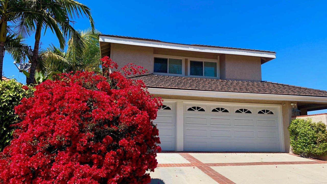 Photo of Outdoor in Laguna Niguel
