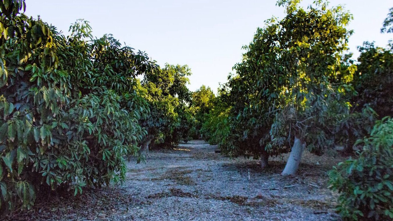 Photo of Others in Camarillo