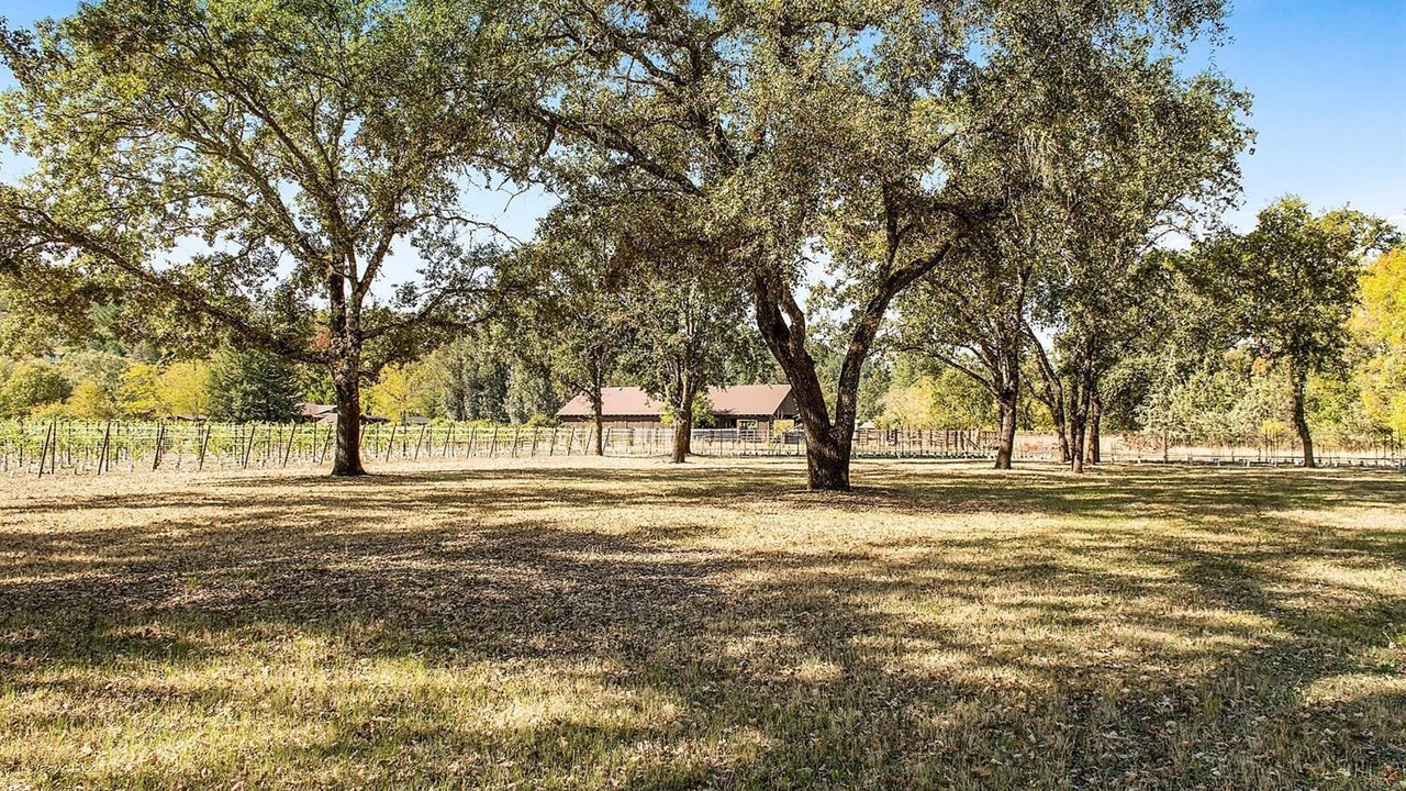 Photo of Outdoor in Calistoga