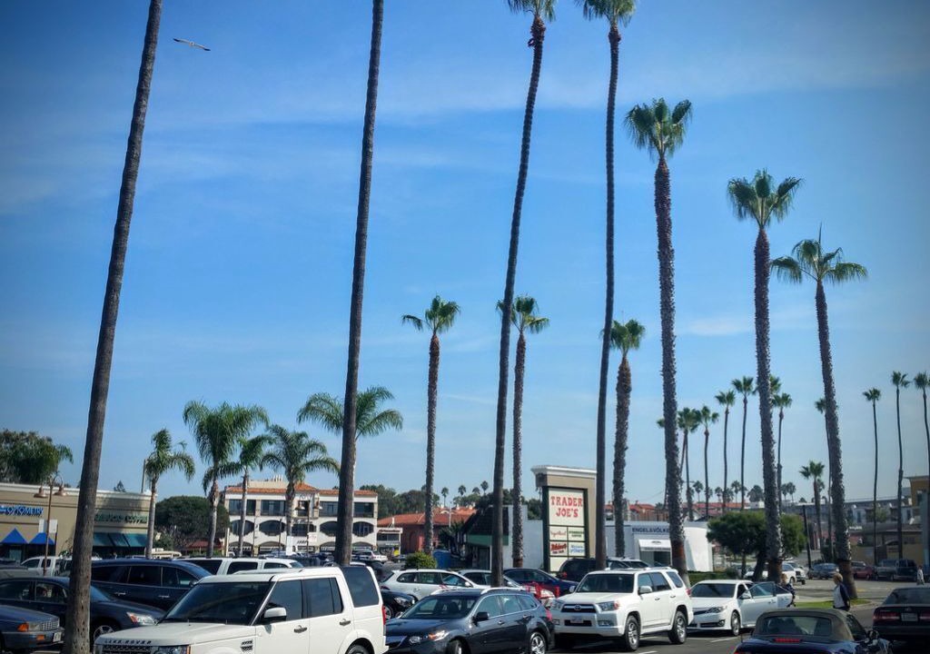 Photo of Others in South Redondo