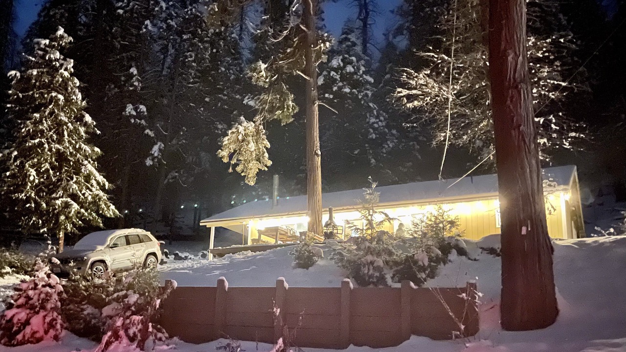 Photo of Outdoor in Posey