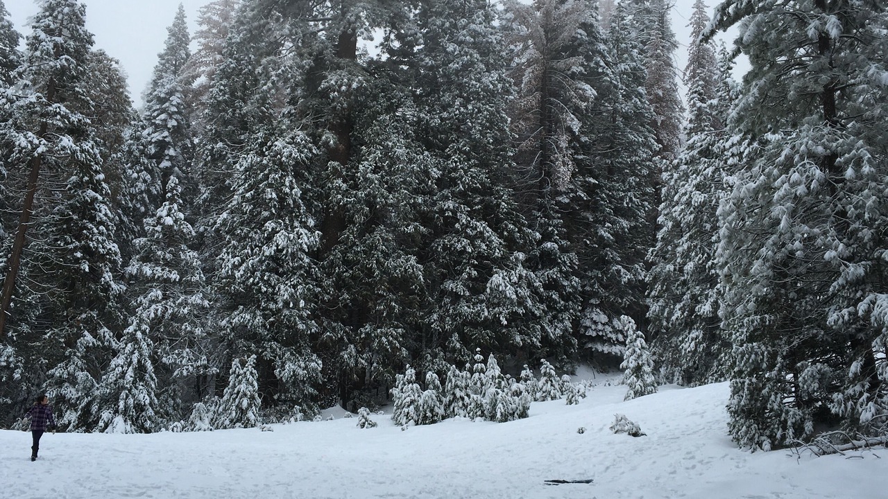 Photo of Outdoor in Posey