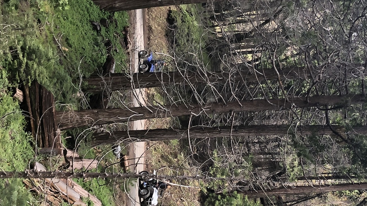 Photo of Outdoor in Posey