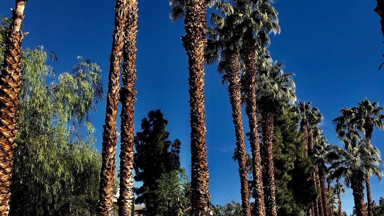 Photo of Others in Cathedral City