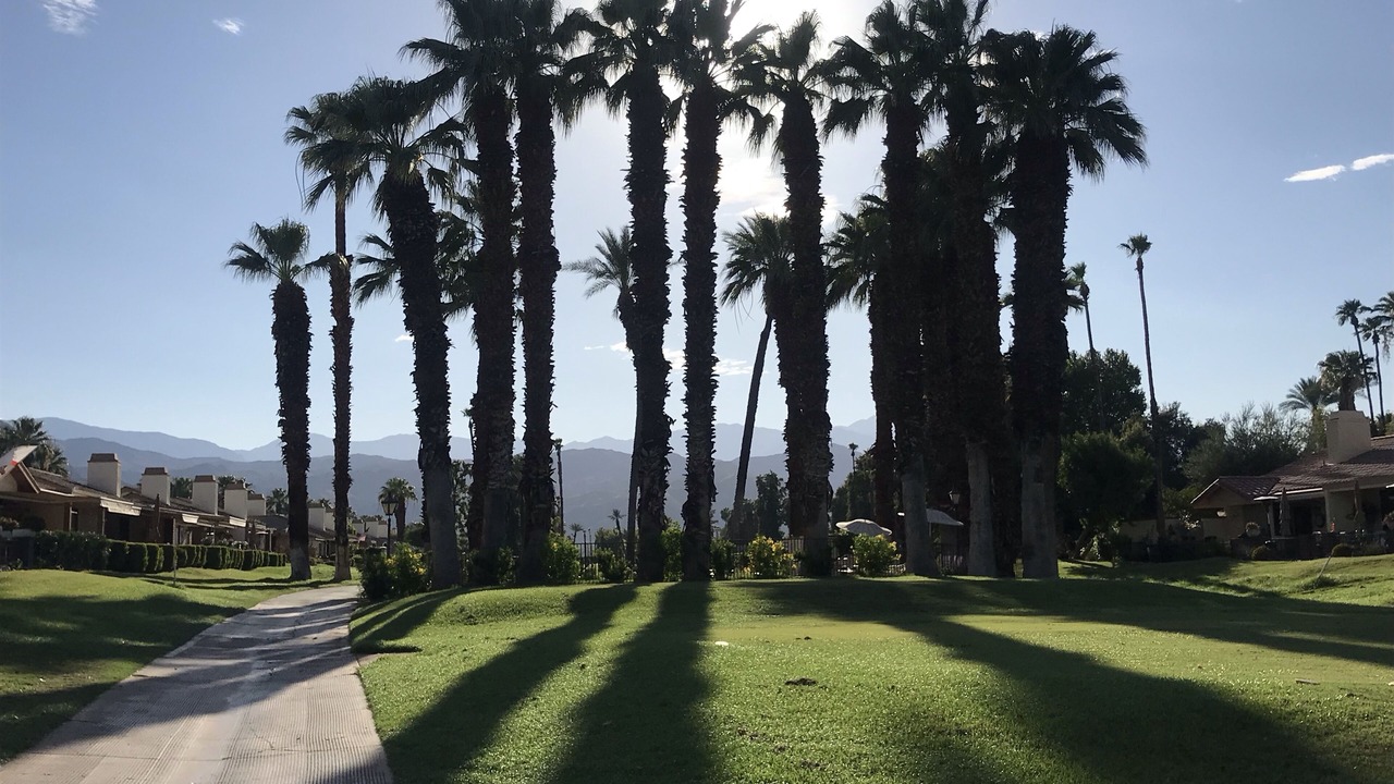 Photo of Outdoor in Palm Desert