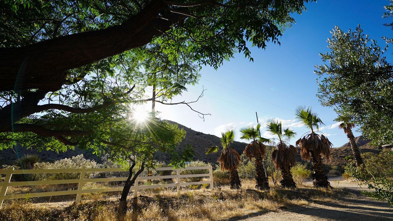 Photo of Outdoor in Morongo Valley