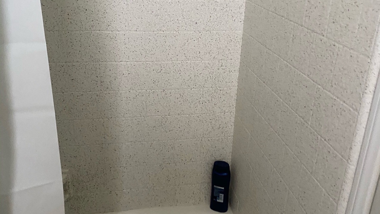 Photo of Bathroom in Belmont Shore