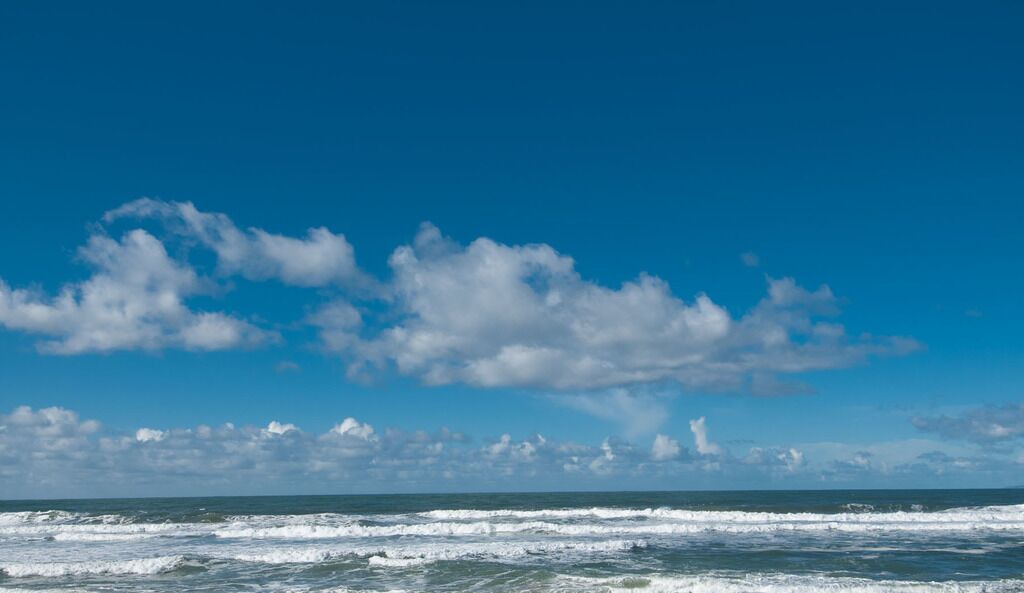 Photo of Others in Moss Landing