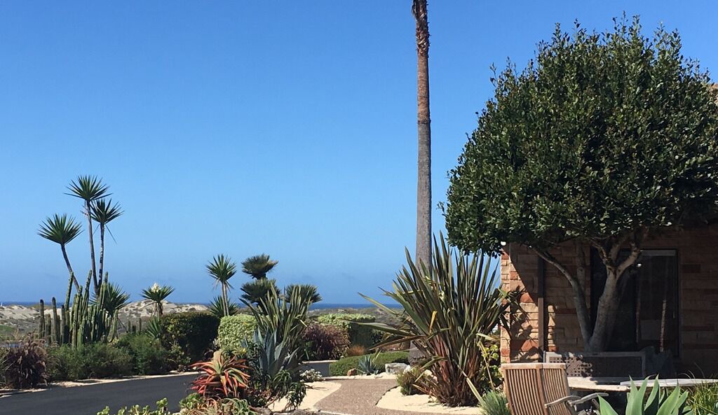 Photo of Outdoor in Moss Landing