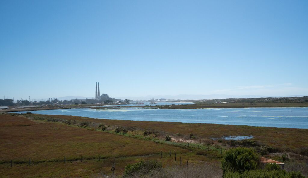 Photo of Others in Moss Landing