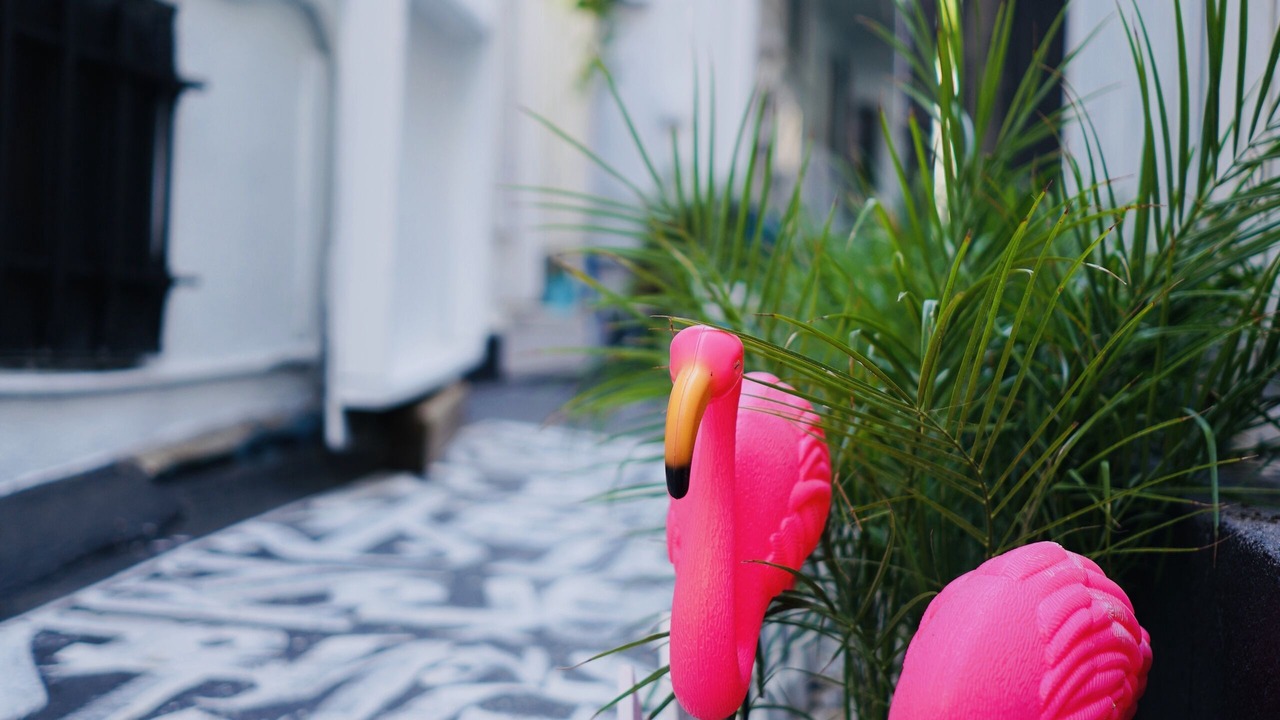 Photo of Outdoor in Ocean Park