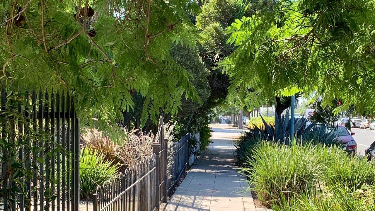 Photo of Others in Golden Hill