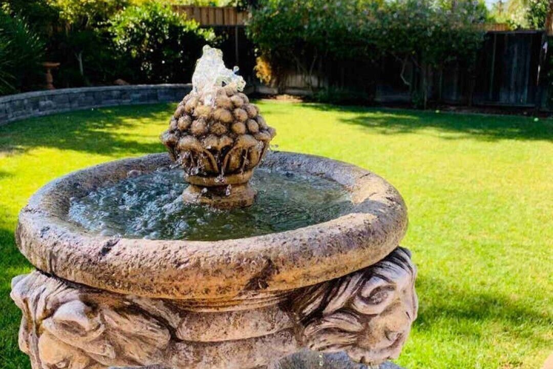 Photo of Outdoor in Cupertino