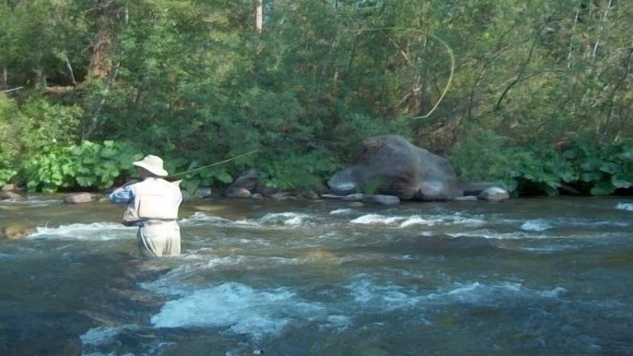 Photo of Others in Castella
