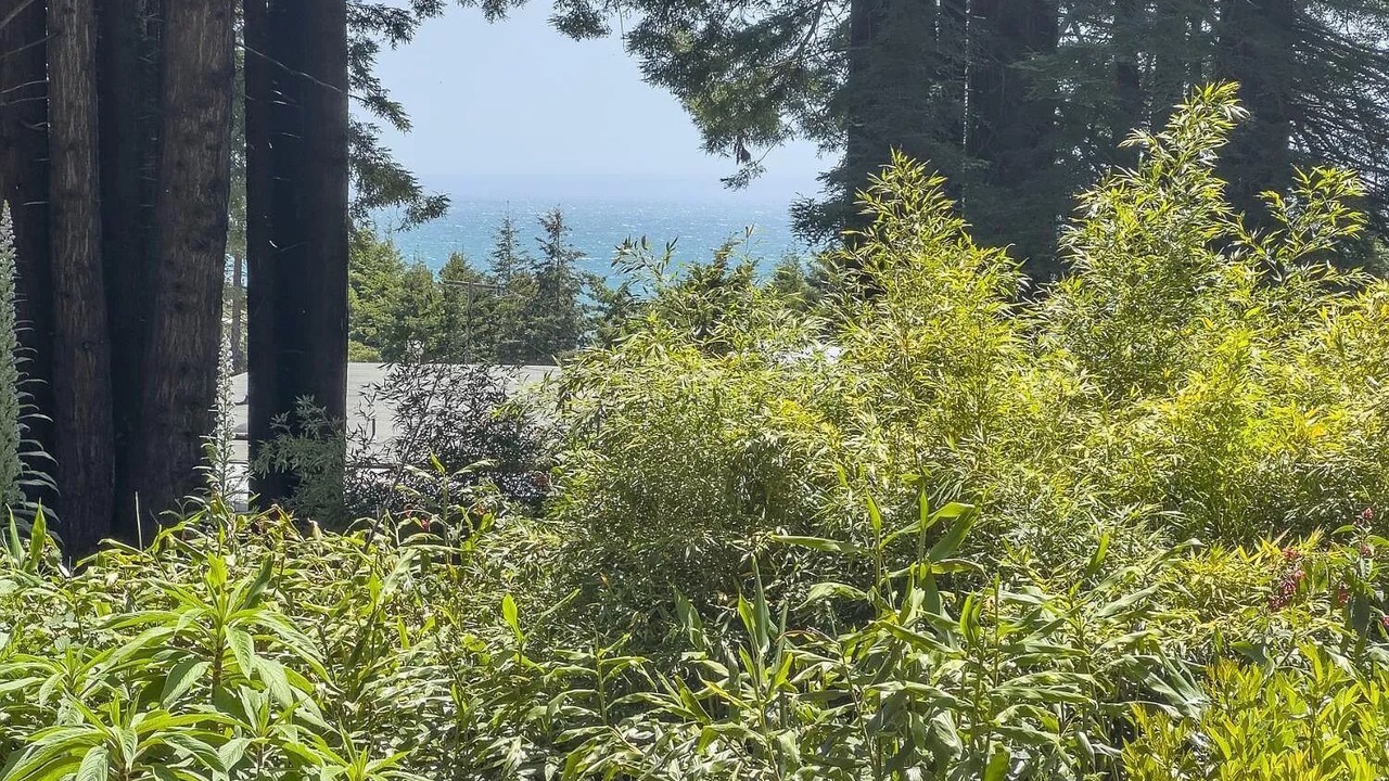 Photo of Outdoor in Anchor Bay