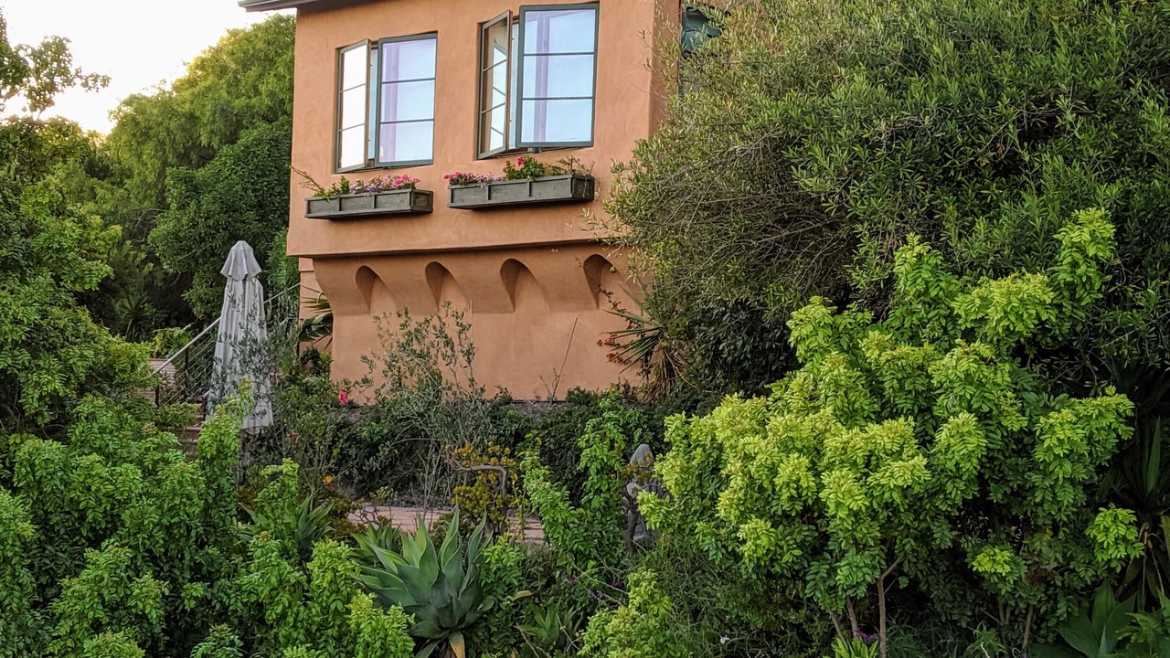 Photo of Outdoor in Eucalyptus Hill