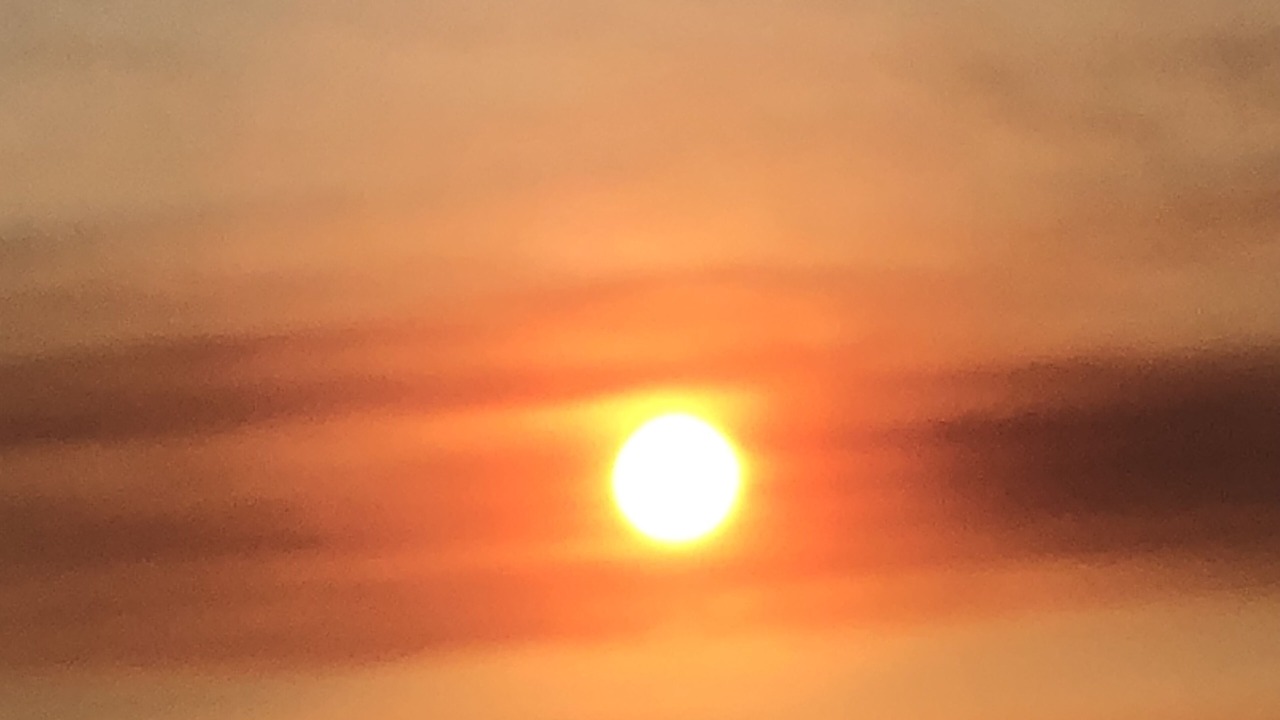 Photo of Others in Marina Peninsula