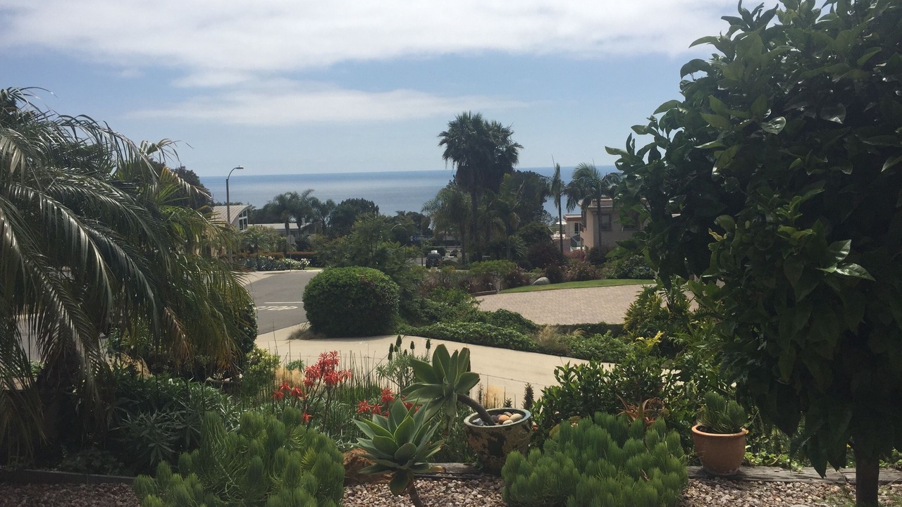 Photo of Others in Del Mar Heights