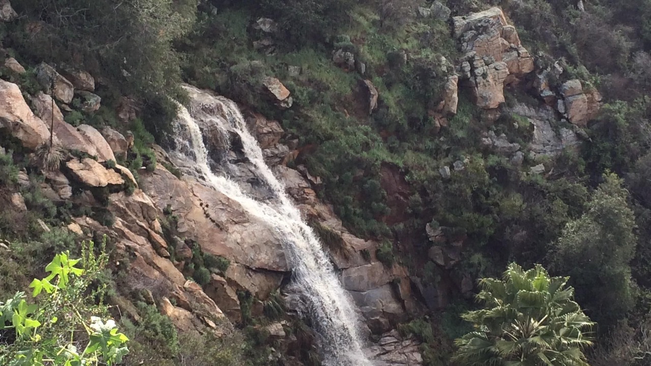 Photo of Others in Fallbrook