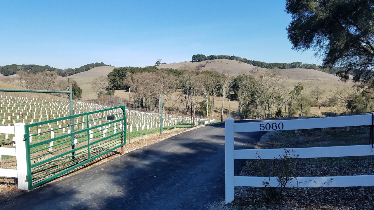 Photo of Others in Paso Robles