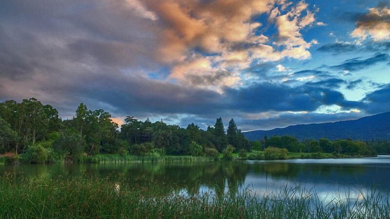Photo of Outdoor in Los Gatos