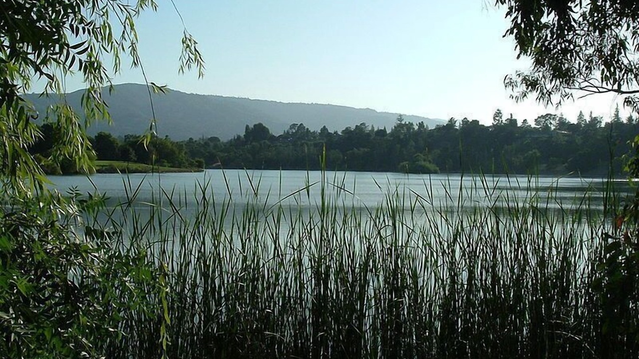 Photo of Others in Los Gatos
