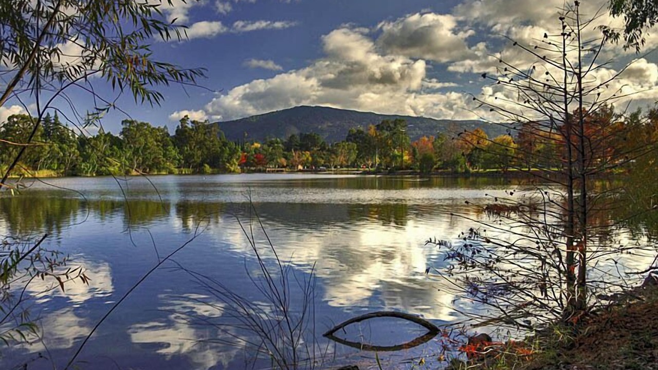 Photo of Outdoor in Los Gatos