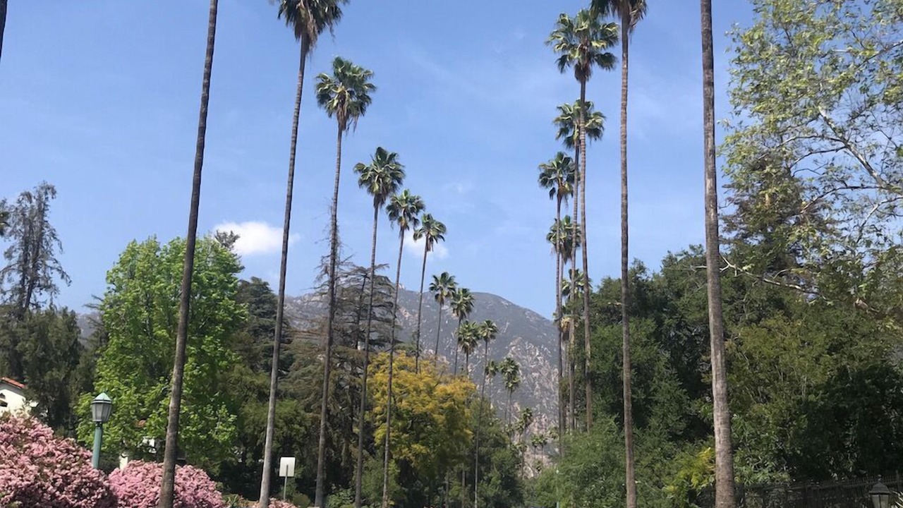 Photo of Others in Altadena