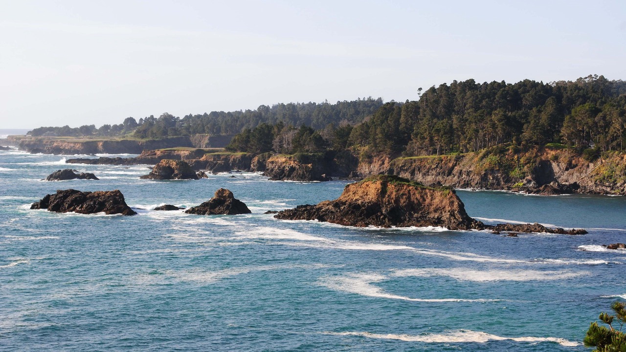 Photo of Others in Mendocino