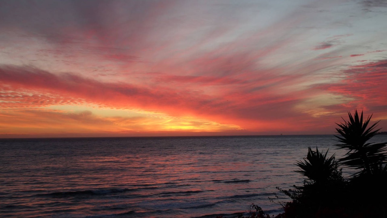 Photo of Others in Santa Barbara