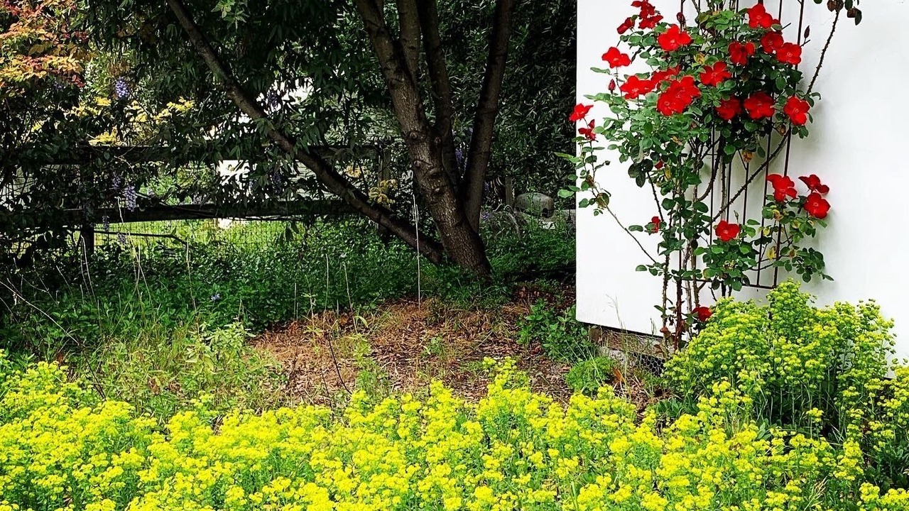 Photo of Outdoor in Napa