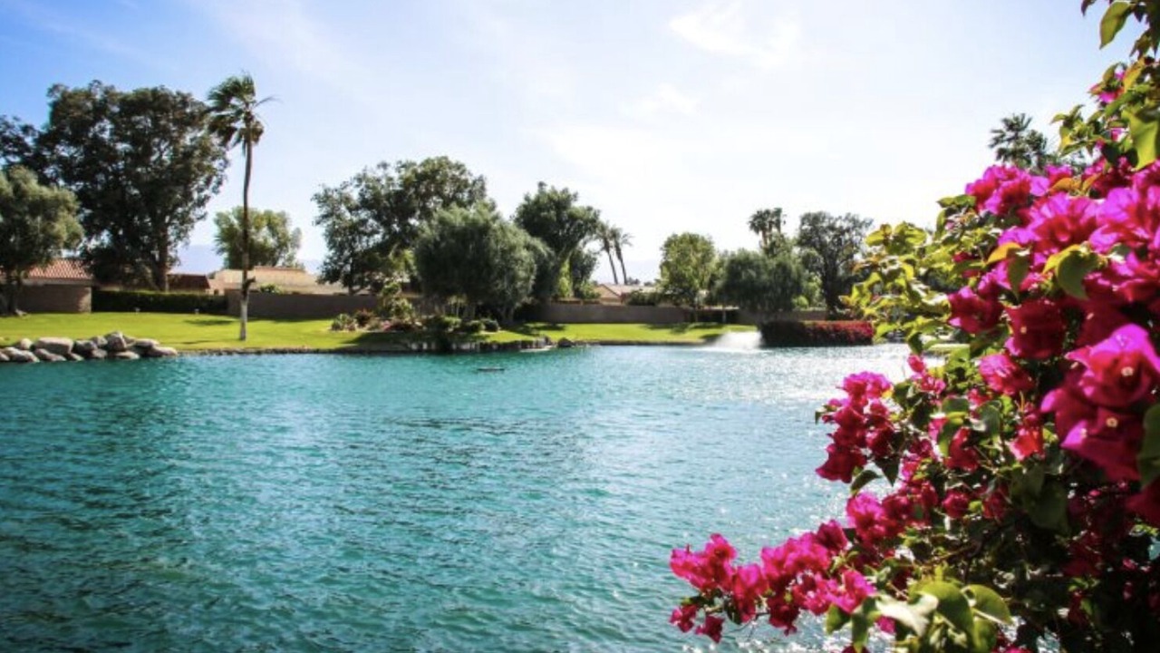 Photo of Outdoor in Palm Desert