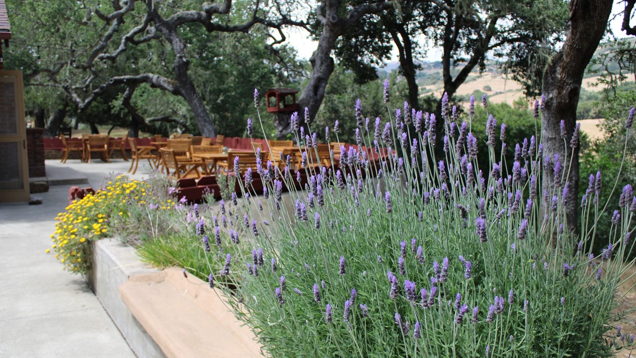 Photo of Others in Carmel Valley