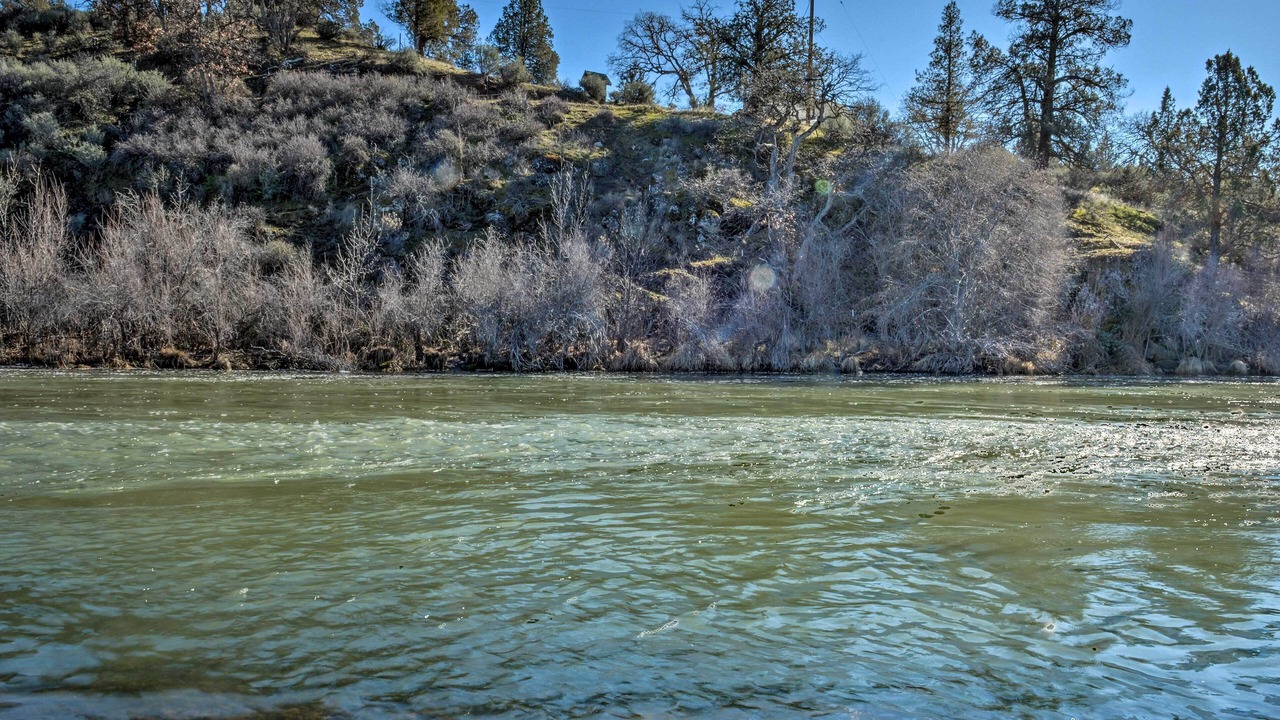 Photo of Outdoor in Hornbrook