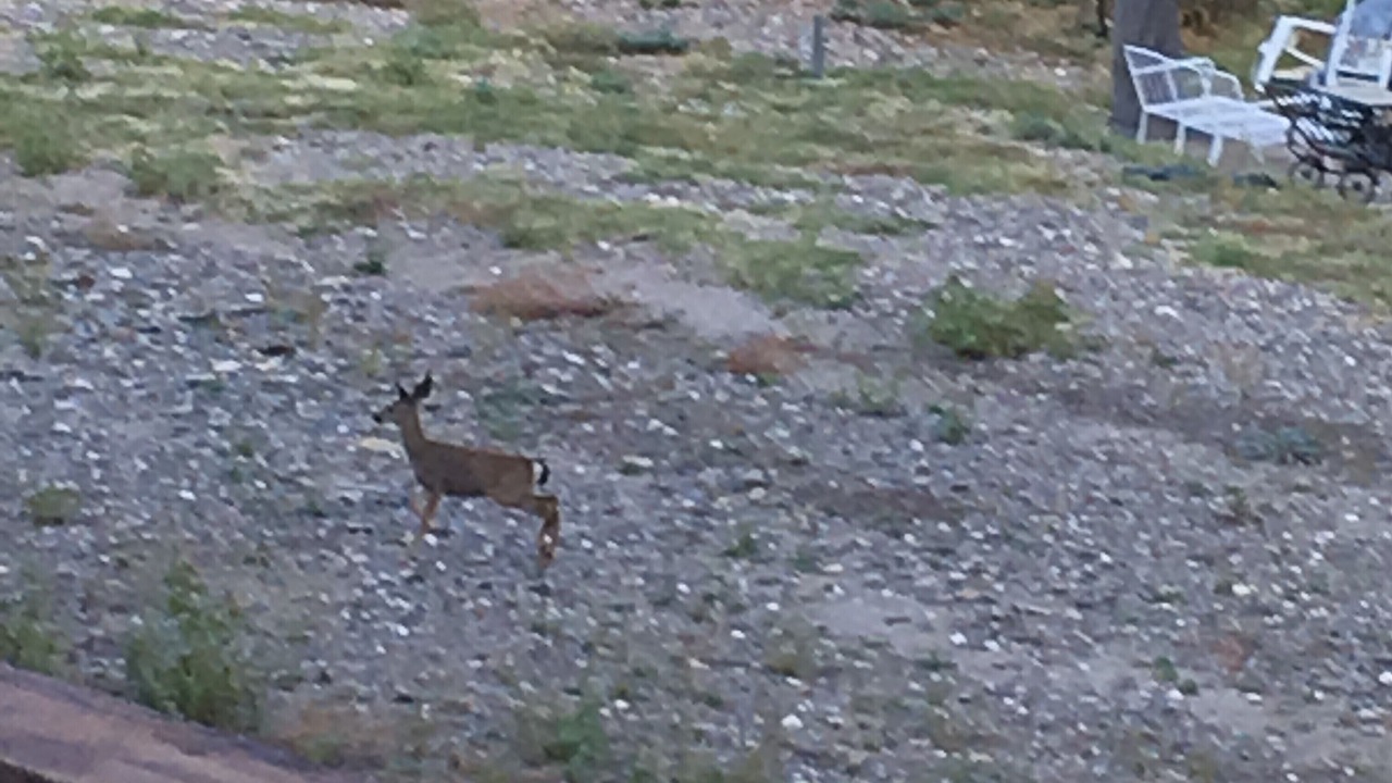 Photo of Outdoor in El Dorado