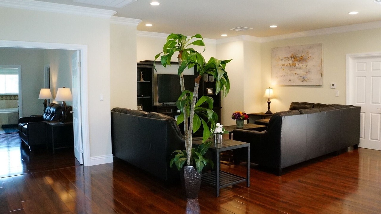 Photo of Livingroom in Mount Wilson