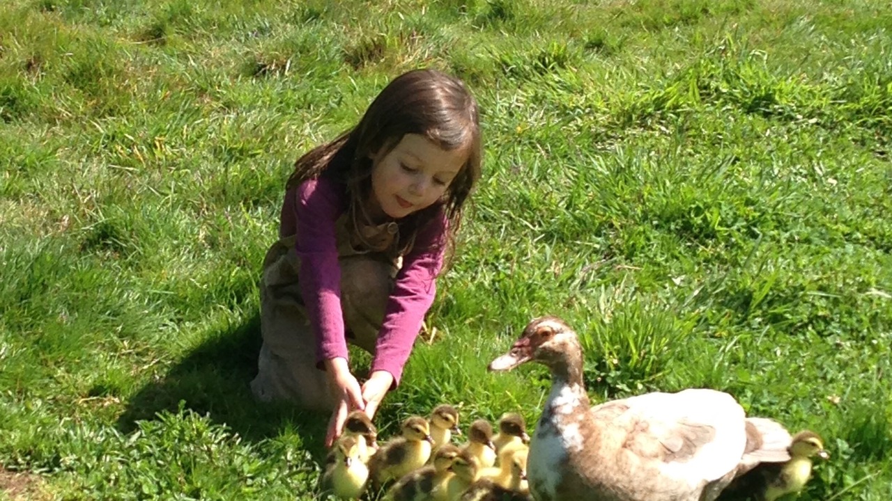 Photo of Others in Fieldbrook