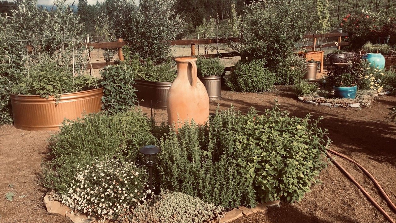 Photo of Outdoor in Ukiah