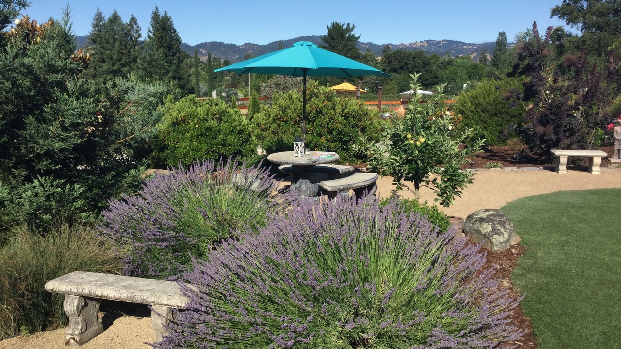 Photo of Outdoor in Ukiah