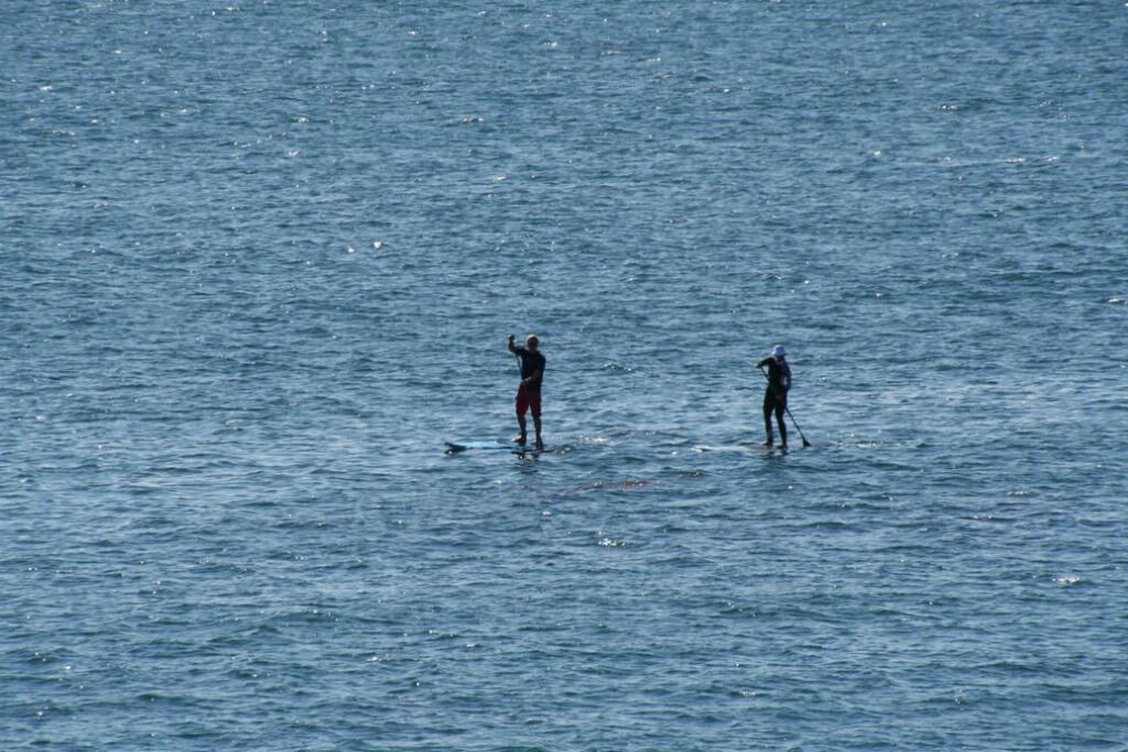 Photo of Others in Eastern Malibu