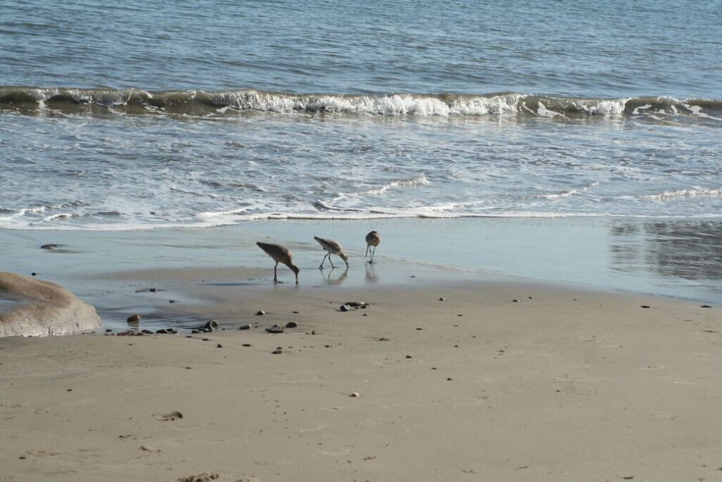 Photo of Others in Eastern Malibu