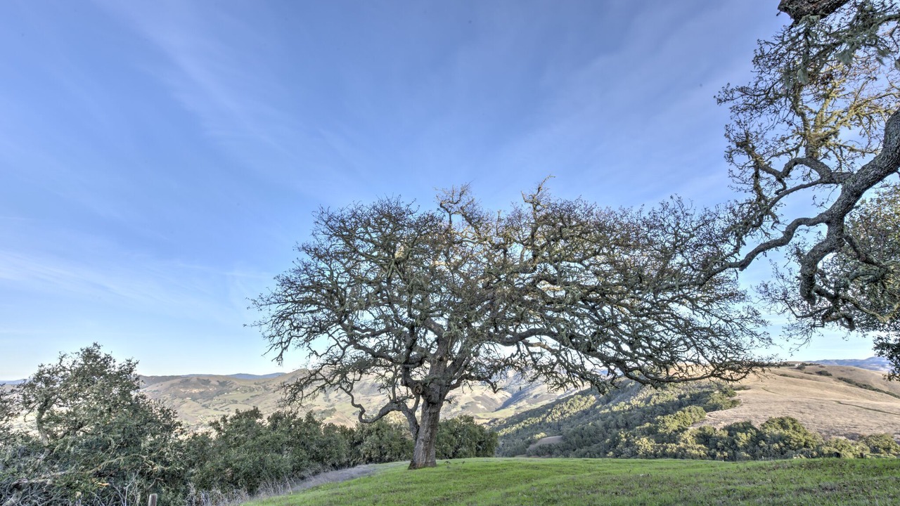 Photo of Outdoor in Northwest Carmel