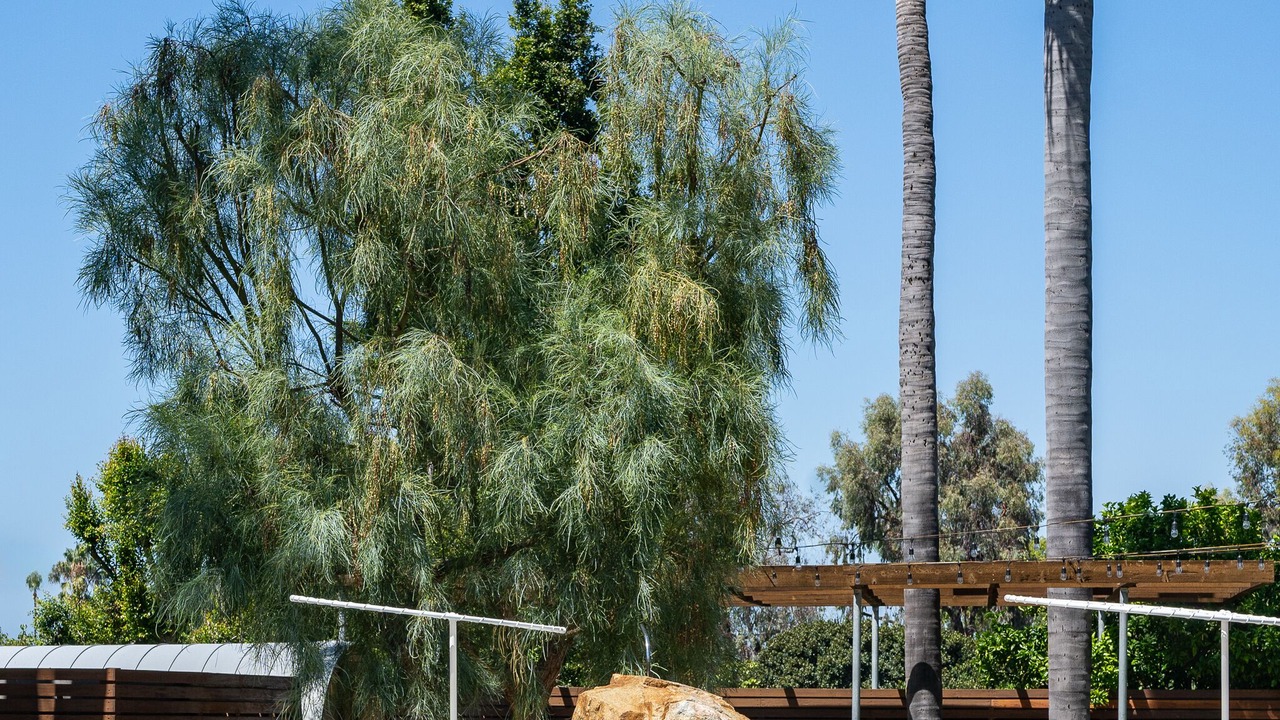 Photo of Outdoor in La Jolla Shores
