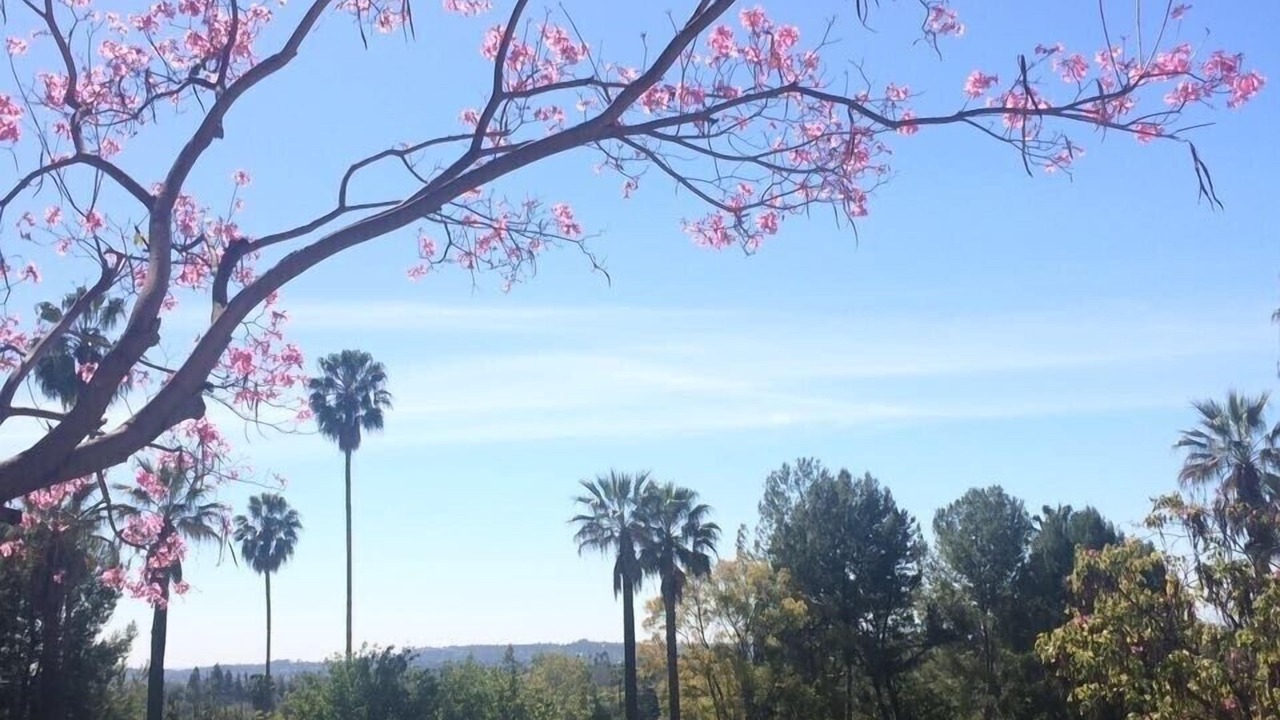 Photo of Outdoor in Pasadena