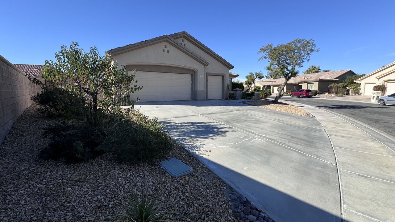 Photo of Others in Desert Palms