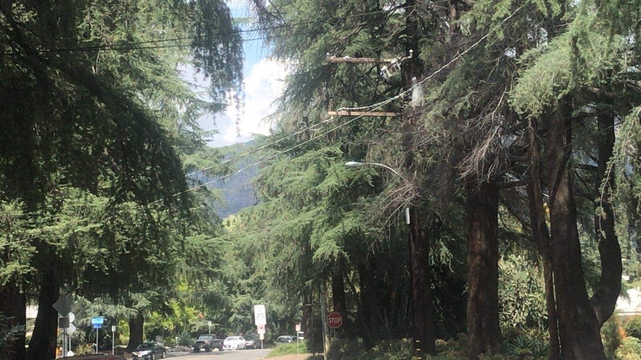 Photo of Outdoor in North Central