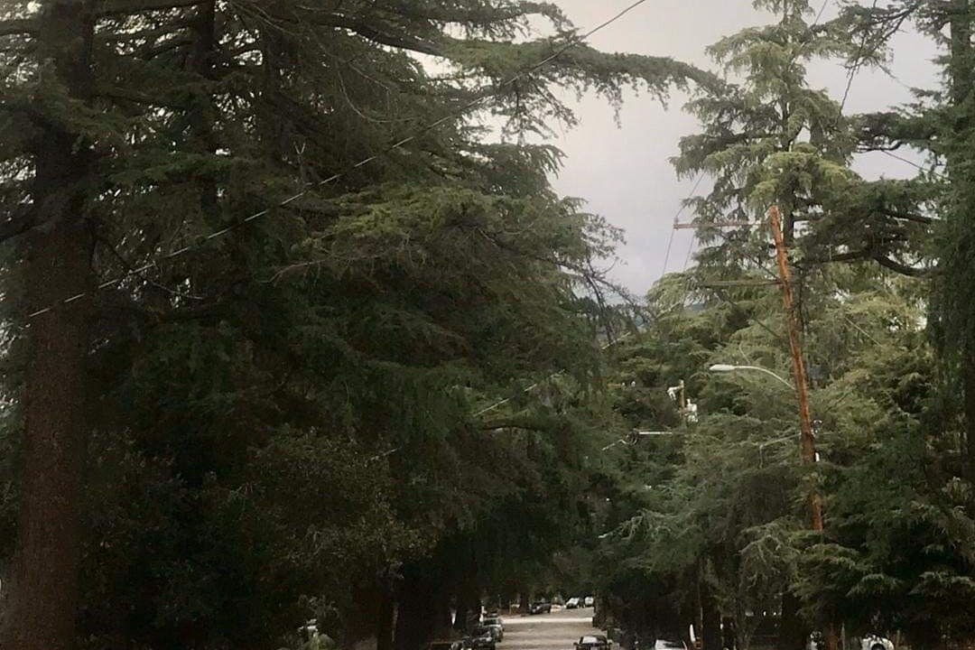 Photo of Outdoor in North Central