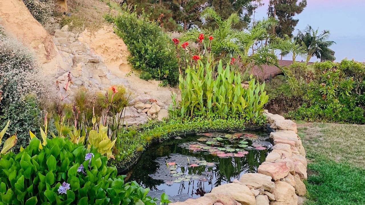 Photo of Outdoor in Eastern Malibu