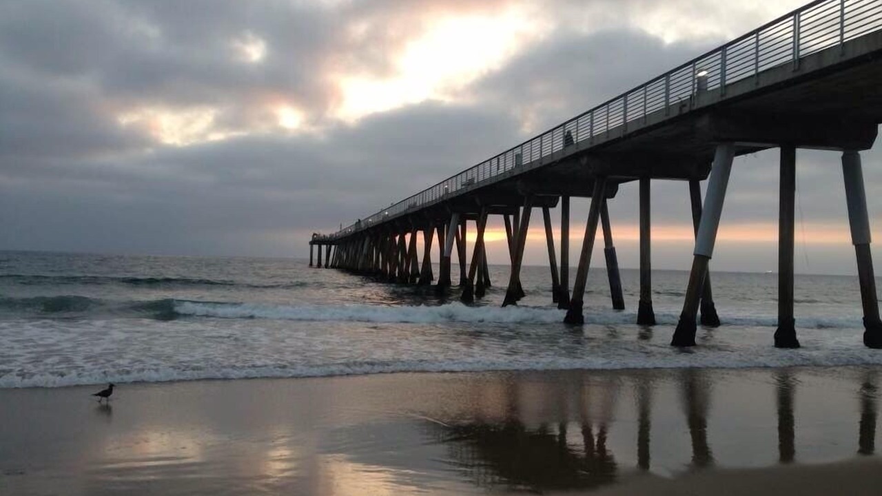Photo of Others in Hermosa Beach